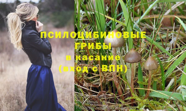 ешки Краснотурьинск